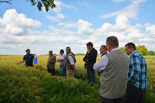 Siła dobrego słowa i relacji – dyskusje o programach ochrony Syngenta na spotkaniach klubowych Agrolider.