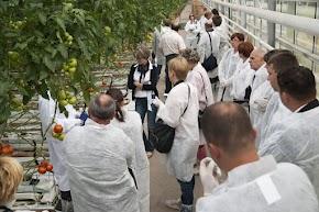 IV konferencja Tomato Academy
