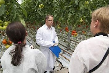 IV konferencja Tomato Academy