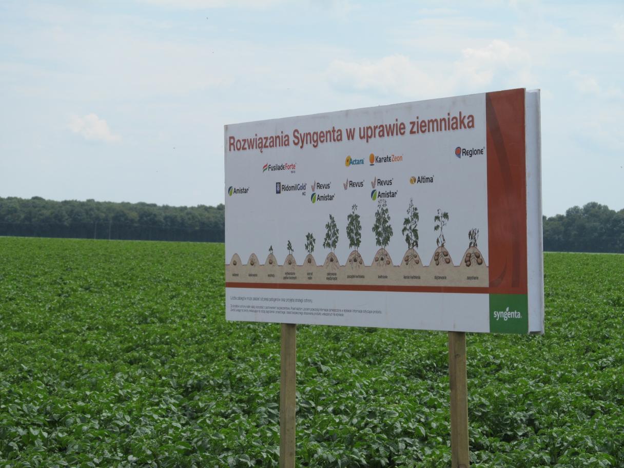 Dolnośląski Dzień Ziemniaka