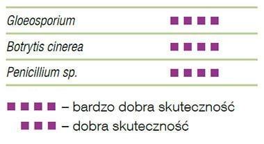 Fungicyd Geoxe 50 WG - skuteczność
