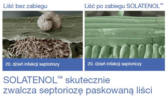 Fungicyd Elatus Era - SOLATENOL skutecznie zwalcza septoriozę paskowaną liści