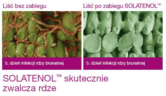 Fungicyd Elatus Era - SOLATENOL skutecznie zwalcza rdzę