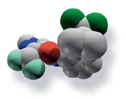 Fungicyd Elatus Plus - 2005 – odkrycie SOLATENOL
