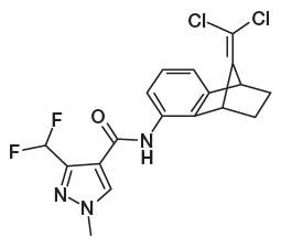 Fungicyd Elatus Plus - 2005 – odkrycie SOLATENOL