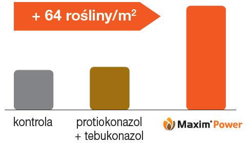 Zaprawa nasienna Maxim Power - moc zakorzeniania