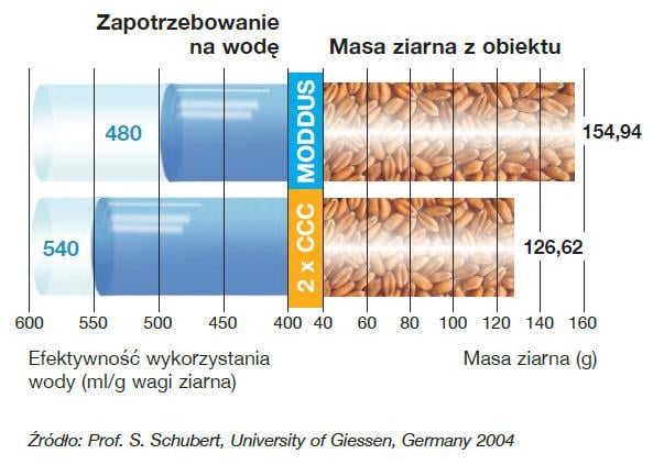 Regulator wzrostu Moddus 250 SC - wielkość i siła systemu korzeniowego