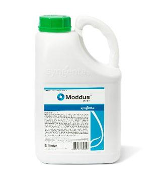 Regulator wzrostu Moddus
