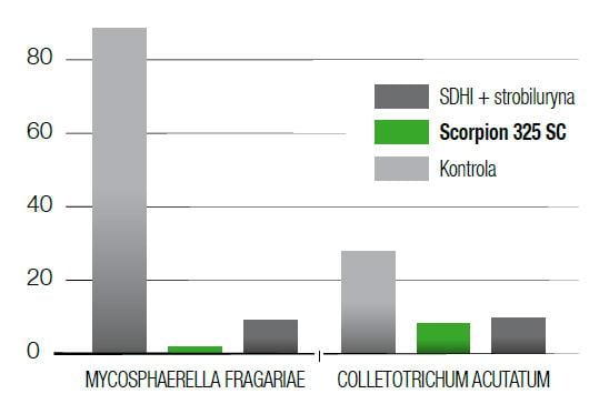 Fungicyd Scorpion - wykres