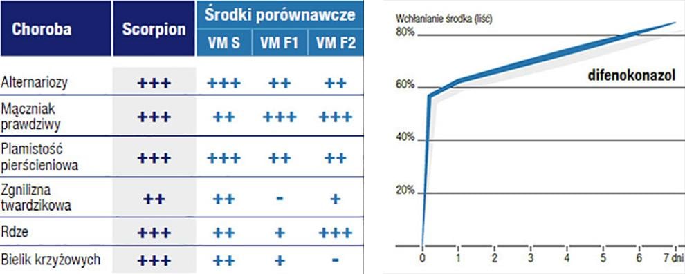 Fungicyd Scorpion - jak działa