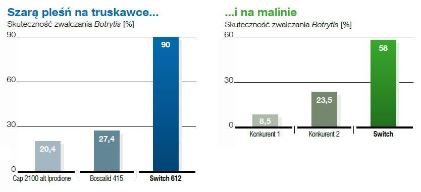 Fungicyd Switch - zwalcza najważniejsze choroby owoców roślin jagodowych