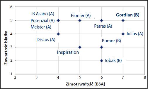 Pszenica chlebowa Gordian - ocena zimotrwałości