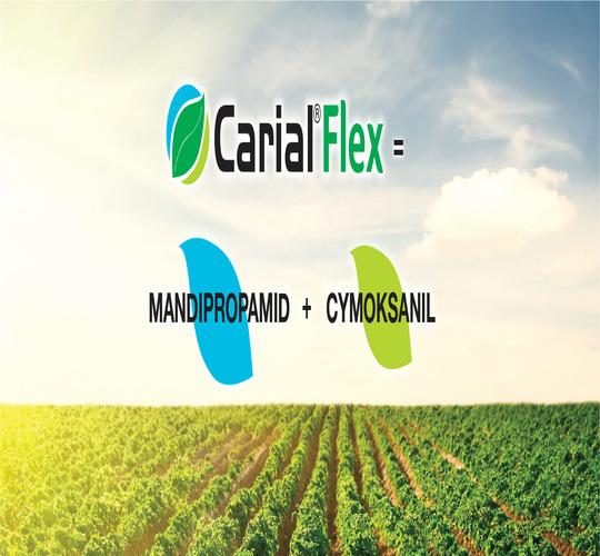 Carial Flex = Manddipropamid + Cymoksanil