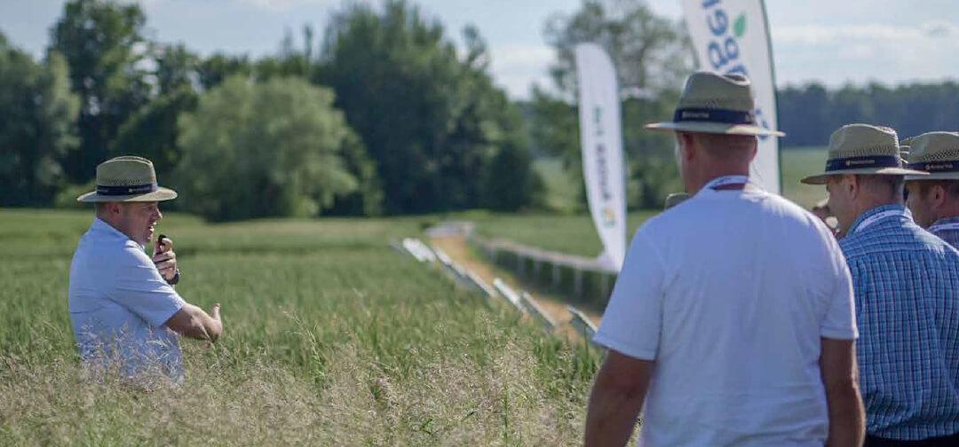 Marcin Bednarczyk, ekspert techniczny Syngenta Polska