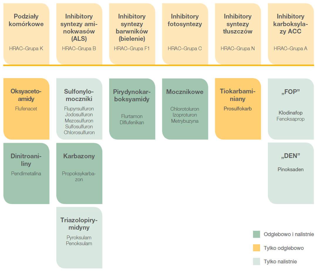 Stop odporności - substancje aktywne