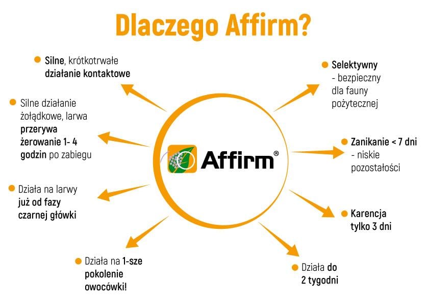 affirm diagram