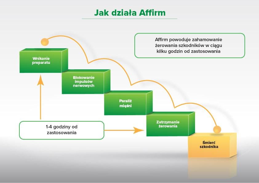 Jak działa Affirm