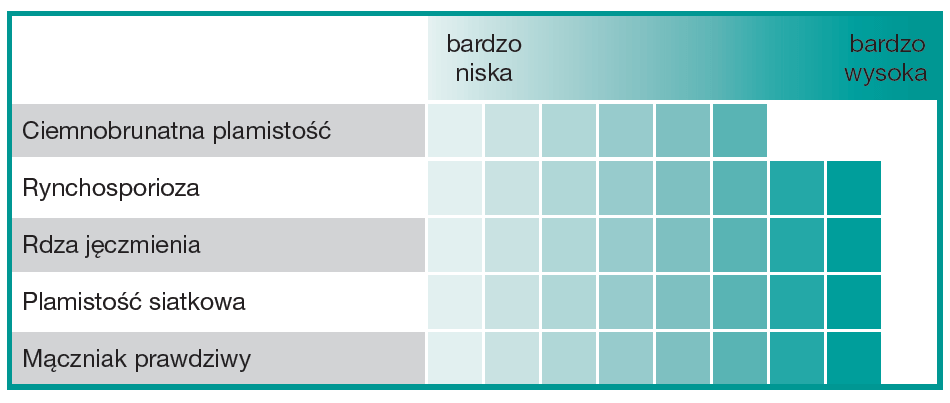 Jęczmień jary Laureate - parametry 2