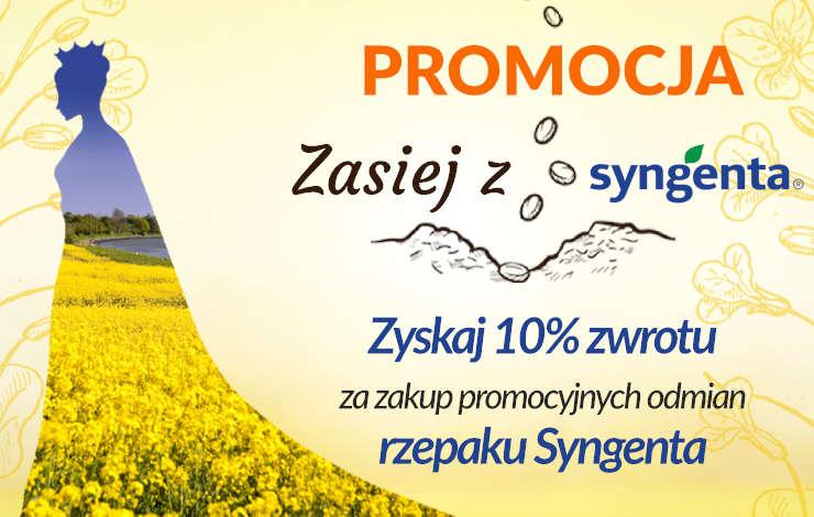 Już ruszyła! Promocja Zasiej z Syngenta – rzepak 2021