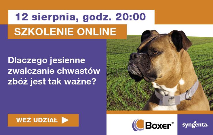 Zapraszamy na szkolenie online: „Dlaczego jesienne zwalczanie chwastów zbóż jest tak ważne?”.