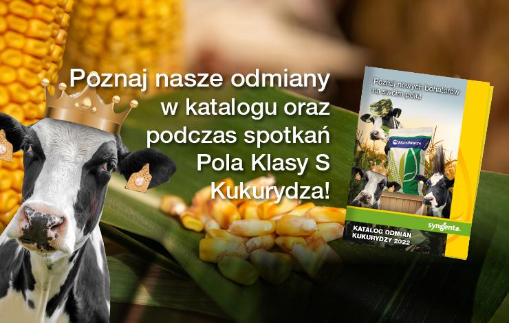 Już jest! Nowy katalog odmian kukurydzy