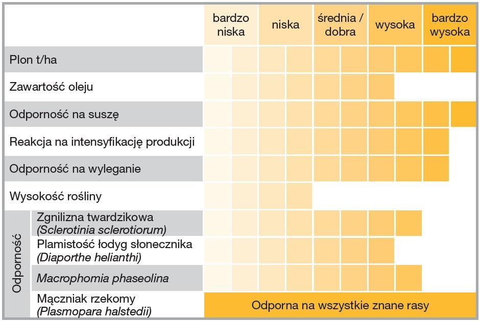 Słonecznik Suomi HTS - charakterystyka