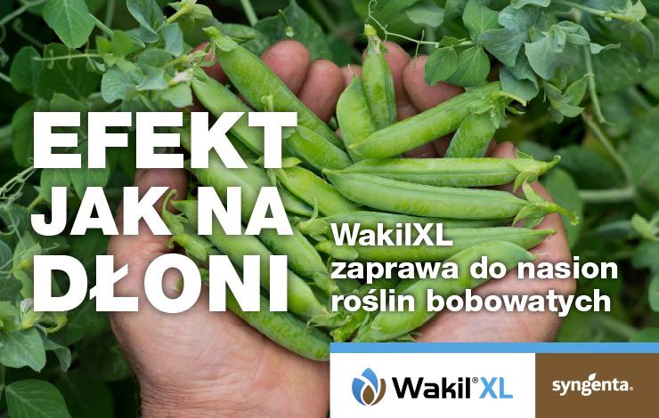 Wakil XL 325 WG czasowo dopuszczony do obrotu!