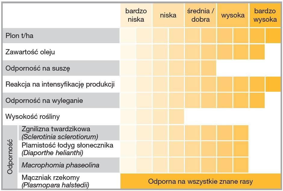 Słonecznik Suomi HTS - charakterystyka