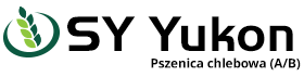 SY Yukon