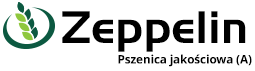 Zeppelin