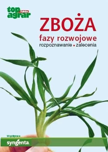 ZBOŻA - fazy rozwojowe