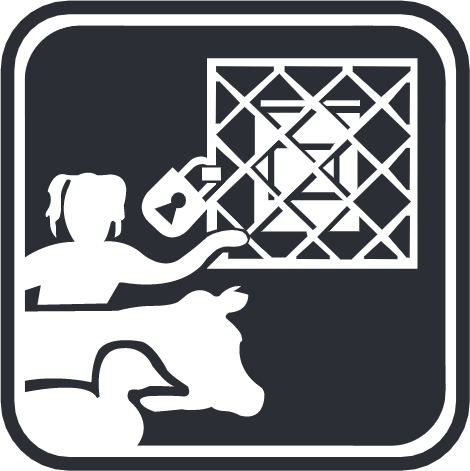 product-lp-force-ikona-img02b.png