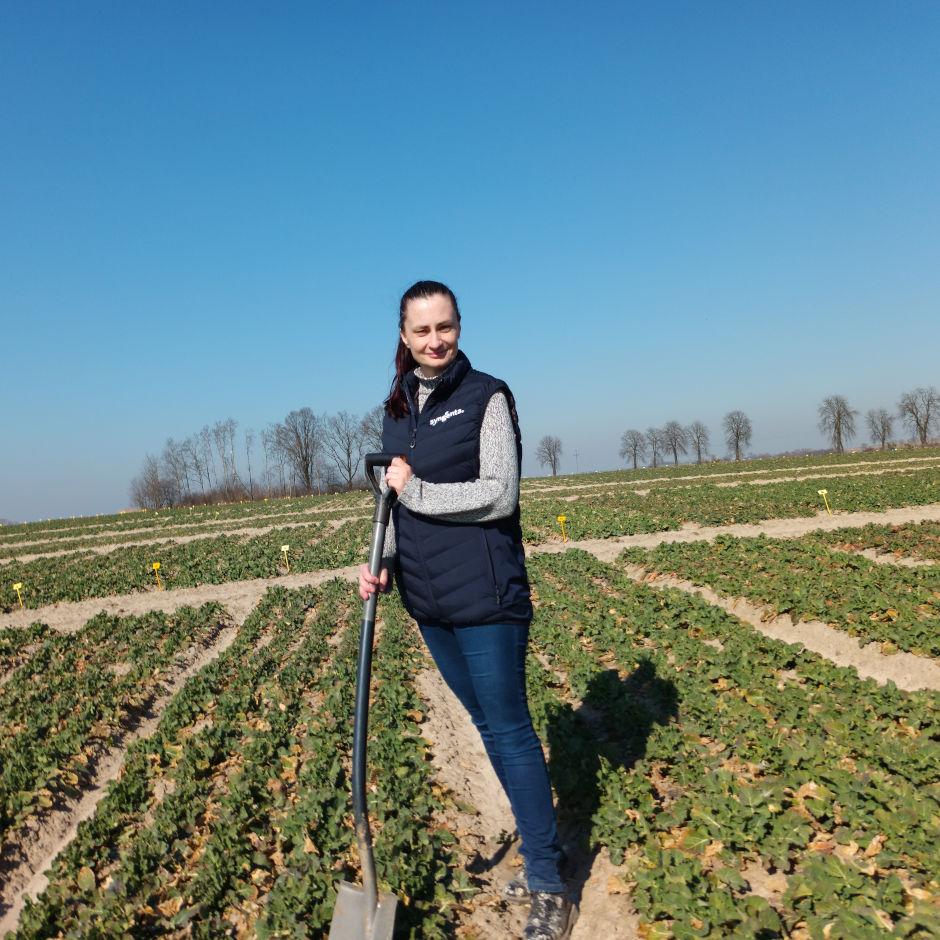 Stan plantacji rzepaku ozimego – Książnice Wielkie, 29 marca 2022 r. - Zdjęcie 2