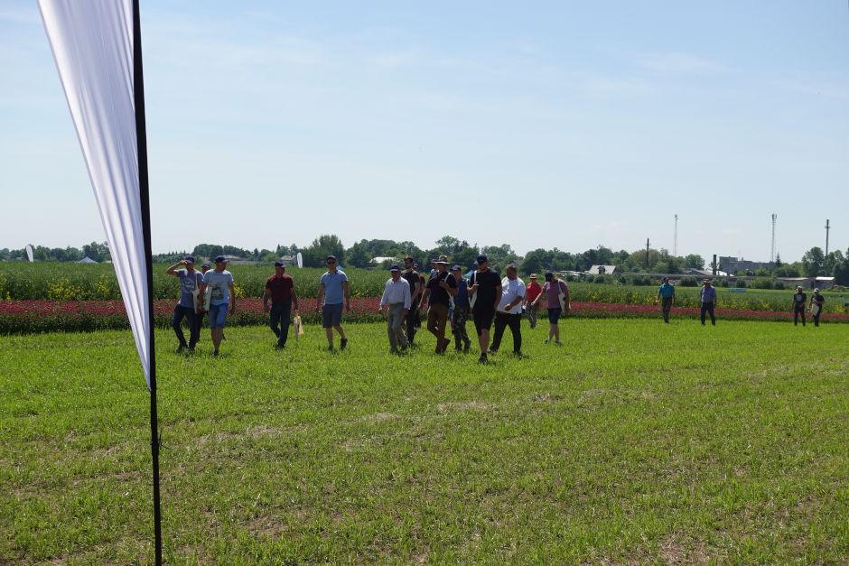 Ruszyły spotkania polowe Syngenty – Pola Klasy S. Zgłoś swój udział! - Zdjęcie 1