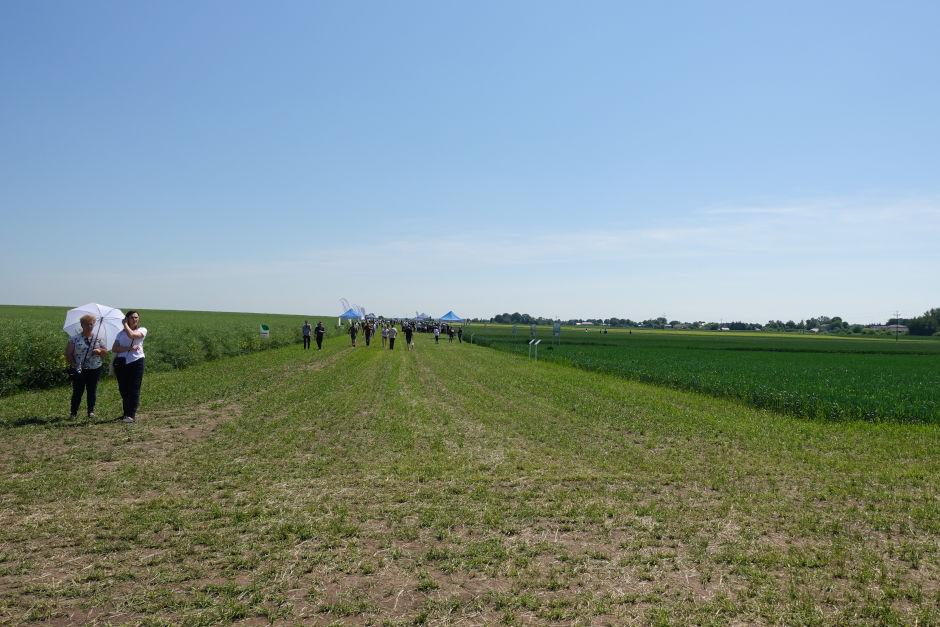 Ruszyły spotkania polowe Syngenty – Pola Klasy S. Zgłoś swój udział! - Zdjęcie 4