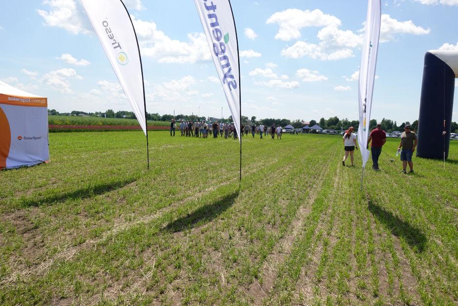 Ruszyły spotkania polowe Syngenty – Pola Klasy S. Zgłoś swój udział! - Zdjęcie 21