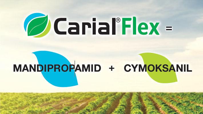 Carial Flex - silny