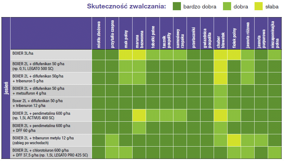 BOXER w mieszaninach - skuteczność zwalczania