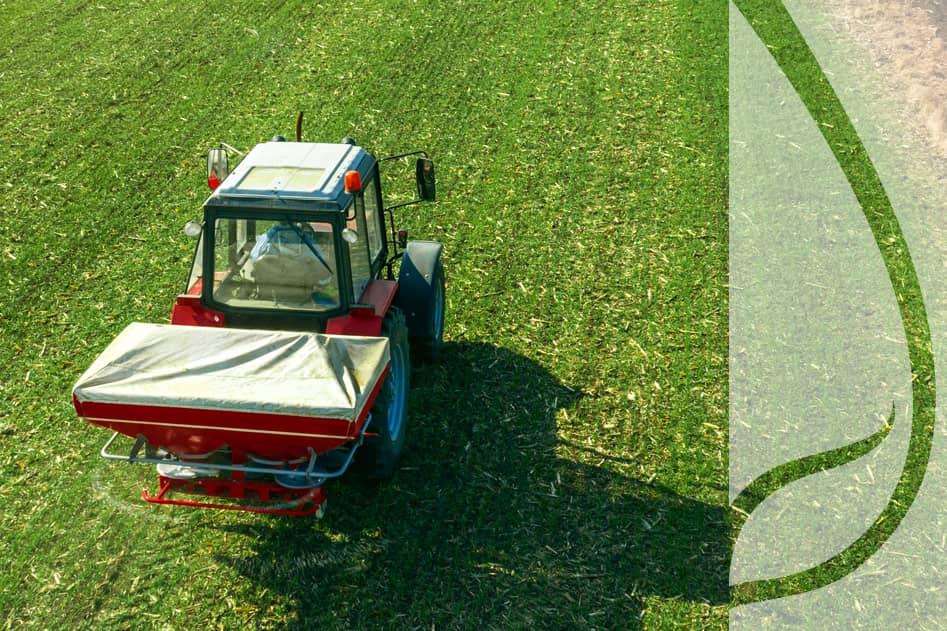 Kalendarz nawożenia roślin uprawnych