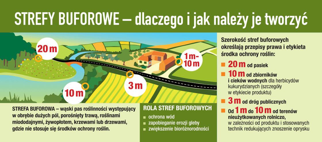 Przed zabiegiem - strefy buforowe