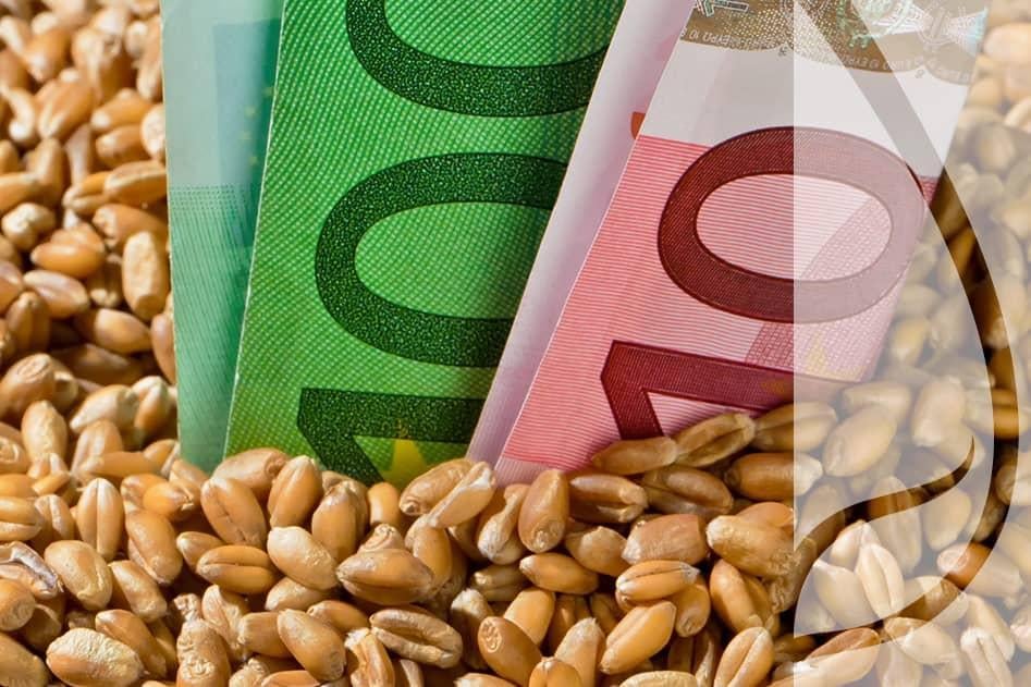 Dopłaty do nasion – kto może z nich korzystać