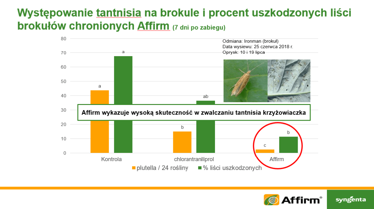 Tantnis