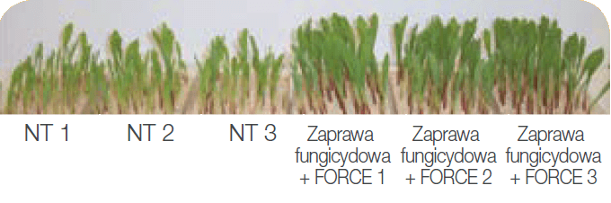 Force - bezpieczeństwo
