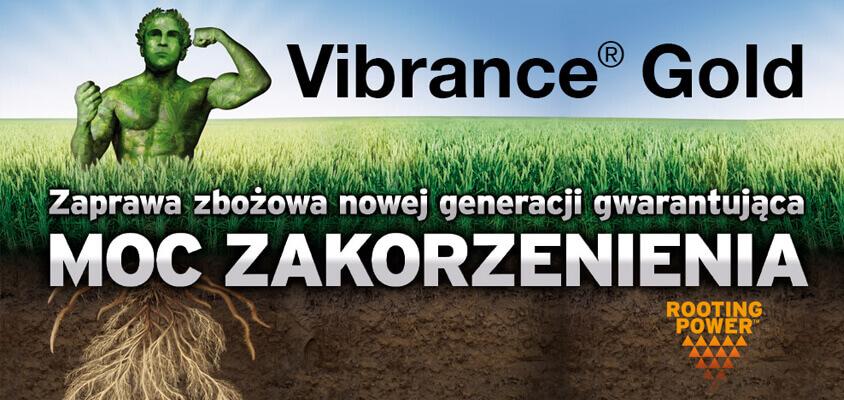 Vibrance Gold