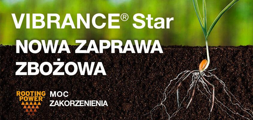 Vibrance Star