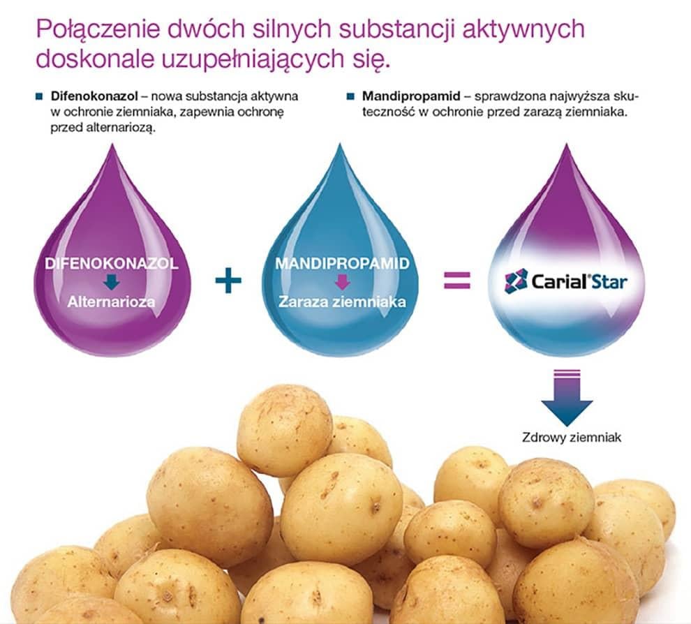 Fungicyd Carial Star 500 SC - połączenie substancji
