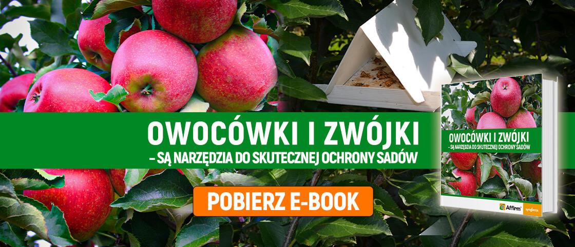 Owocówki i zwójki