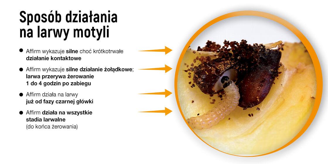 AFFIRM SPOSÓB DZIAŁANIA NA LARWY MOTYLI