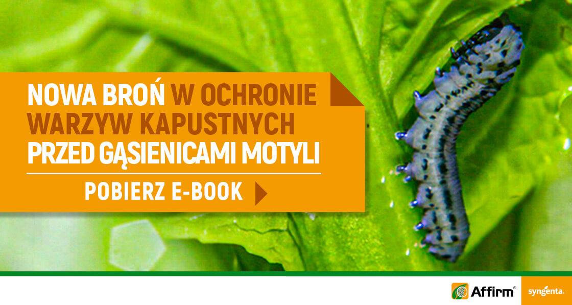 Affirm ochrona kapustnych