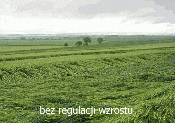 Regulacja - zmiana